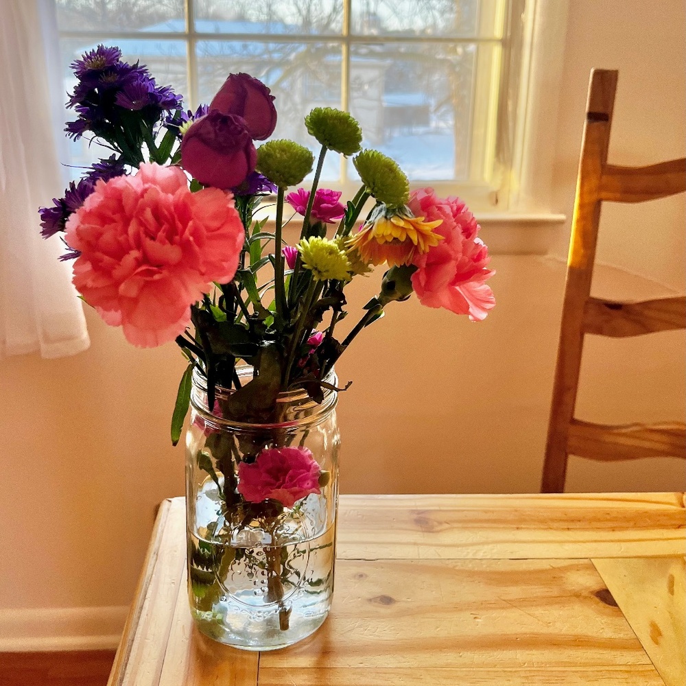 Meet your Posher, Holly